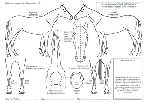 equine passport application form nihb