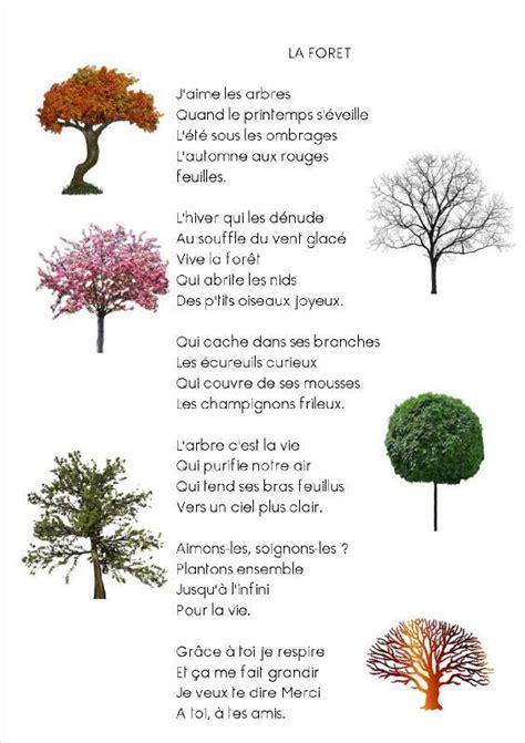 La chanson de la forêt les Grands de Lamairesse Poeme nature