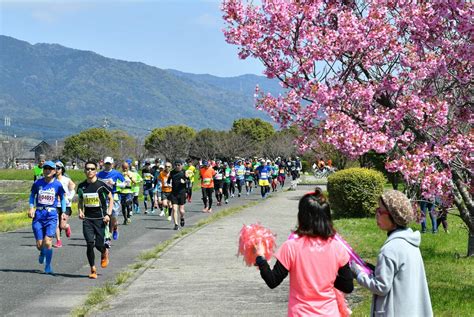 さが桜マラソン、2023年3月19日に 4年ぶり通常開催 行政・社会 佐賀県のニュース さがから By佐賀新聞