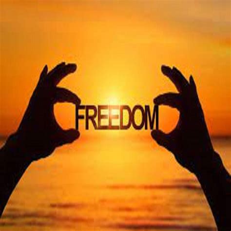 Freedom Is My Space - Single by Dirty Latin Funk Experience | Spotify