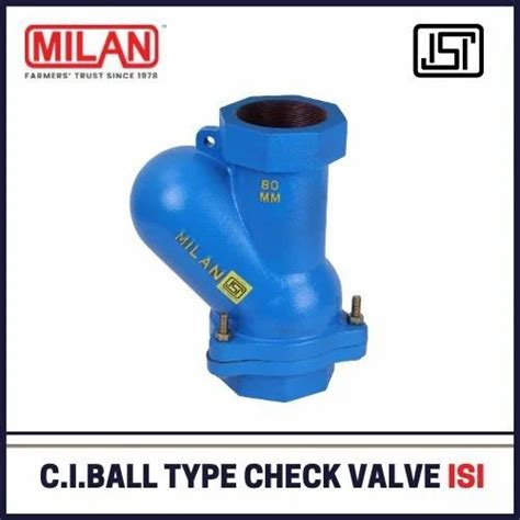 Blue Cast Iron Ball Type Foot Valve Size 1 5 Inch At Rs 600 Piece In