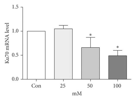 Long-term high-glucose conditions inhibited the Ku70 expression and ...