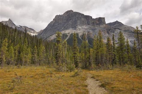 Emerald Lake Photo | 2023 Hiking Photo Contest | Vancouver Trails