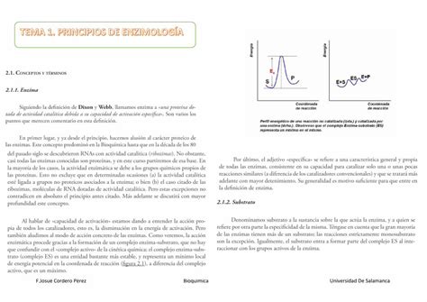 PDF Enzimología Temas 1 y 2 DOKUMEN TIPS