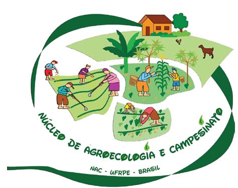 NAC Núcleo de Agroecologia e Campesinato Agroecologia em Rede