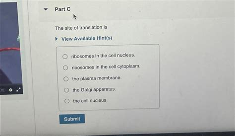 Solved Part CThe site of translation isView Available | Chegg.com