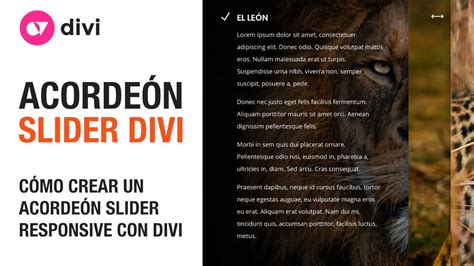 Cómo crear un acordeón slider responsive con divi y wordpress YouTube