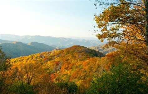 Best Time to Visit Great Smoky Mountains National Park - Traveladvo