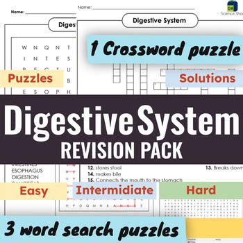 Digestive System Revision Flash Cards Puzzles By Da Science Shop