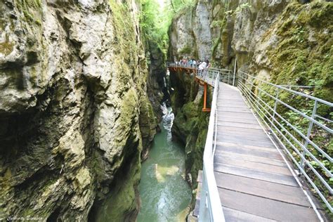 Excursion Lac D Annecy Visite Des Gorges Du Fier Avec Son Chien