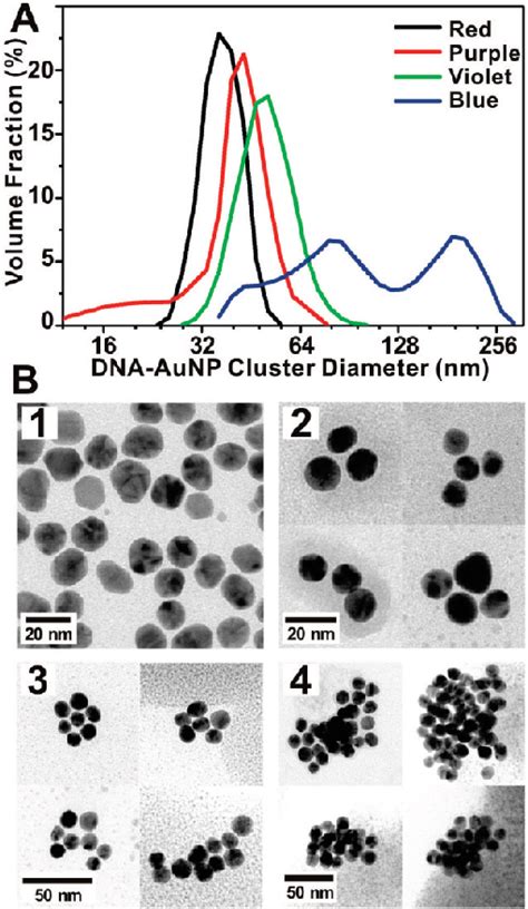 Figure 1 From Synthesis And Thermally Reversible Assembly Of Dna Gold