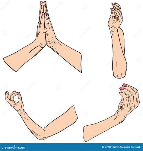 Vector Anatomical Illustration Set Of Hands Gestures Isolated On