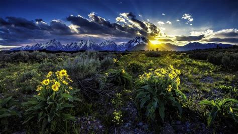 Grand Teton Parks Scenery Sunrises And Sunsets Fields USA Clouds