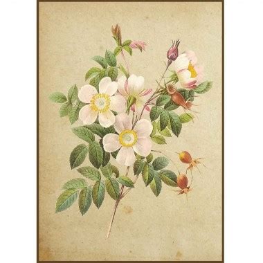 Quadro Decorativo Flores Em Canvas AGFL029