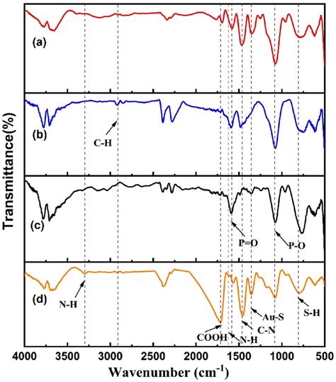 Fourier Transform Infrared Spectra Of A Polyethylene Glycol