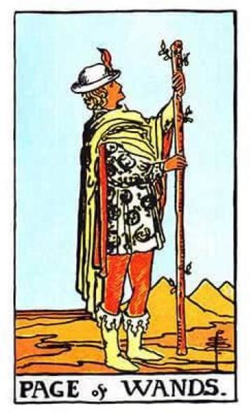 Carta De Tarot Valete Pajem Ou Príncipe De Paus Significados E