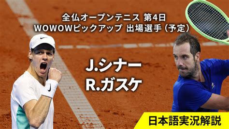 全仏オープンテニス 第4日 男女シングルス2回戦 Wowowオンデマンドで見る