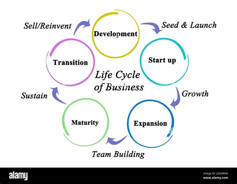 Five Stages Of Life Cycle Of Business Stock Photo Alamy