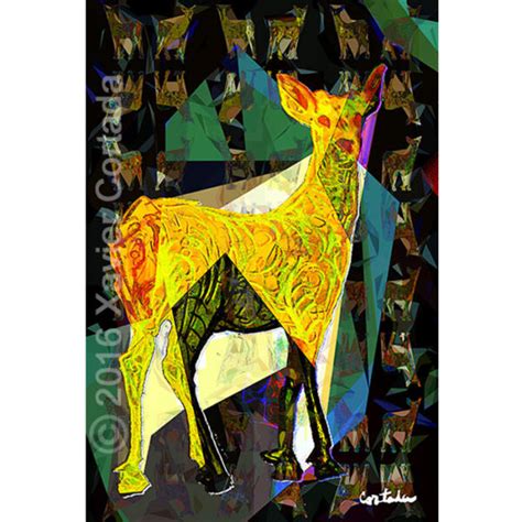 Key Deer - Endangered Animals – Cortada Foundation