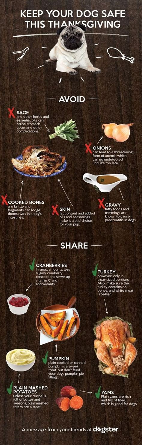 Create The Perfect Meal With These Thanksgiving Dinner Infographics