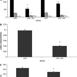 (PDF) Gastrin-releasing Peptide Receptor Antagonist Effects on an ...