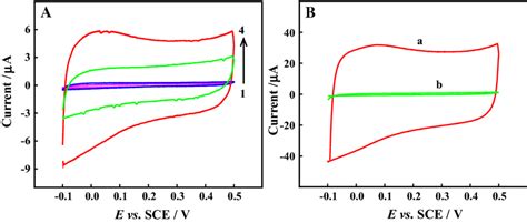 A Cyclic Voltammograms Of Bare Gce Go Gce Rgo Gce And