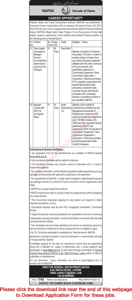 Wapda Jobs December Application Form Finance Manager Team Leader