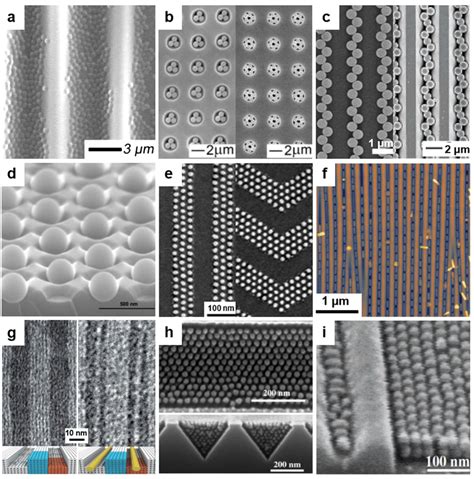 A SEM Image Showing PNIPAM Particles Assembled In Buckling PDMS