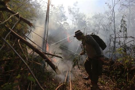 Kebakaran Hutan Di Lereng Gunung Antara News Bengkulu