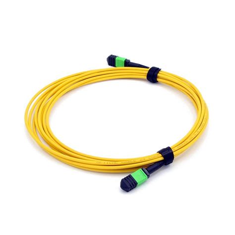 12 Fiber Mpo To Mpo Trunk Cable Price And Datasheet