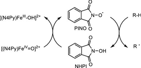 N Hydroxyphthalimide A Hydrogen Atom Transfer Mediator In Hydrocarbon Oxidations Promoted By