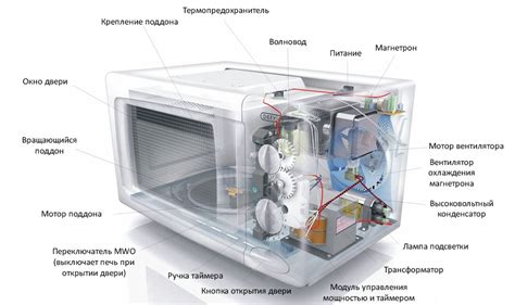 Устройство и принцип действия микроволновки