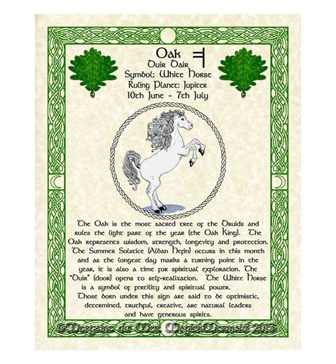 White Horse Oak Celtic Zodiac Sign Print June 10-july 7 Birthday Gift ...