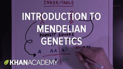 An Introduction To Mendelian Genetics Biomolecules Mcat Khan