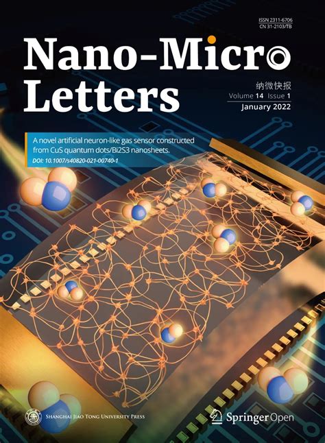 1 Nano Micro Letters