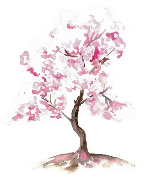 Cherry Tree Blossom Flowers Watercolor Painting By Maryna Salagub