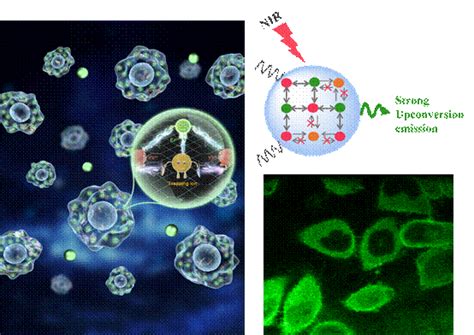 河南大学张敬来和王丽教授在能源领域顶级期刊《nano Energy》上发表最新成果 河南省镁合金绿色防腐技术工程研究中心