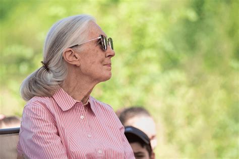 Five Jane Goodall Quotes to Reflect on - Exploring your mind