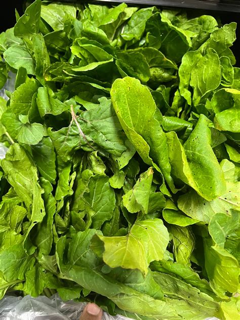 Lincoln Mediterranean Market | Lincoln NE