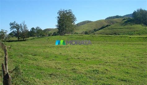 Fazenda Venda Hectares Rio Preto Mg Rea Total