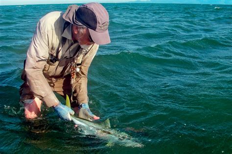 Catching Kingfish On Salt Fly Tackle The Fishing Website