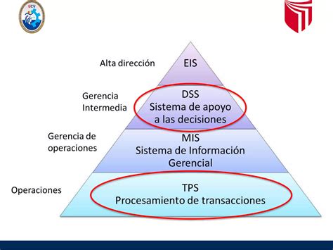 Sistemas De Informaci N Sistemas Transaccionales Y De Apoyo A La Toma