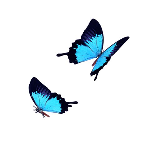 Flying Blue Butterflies Png Photo