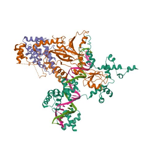 Rcsb Pdb Xur The Cryo Em Structure Of Human Mini Snapc In Complex