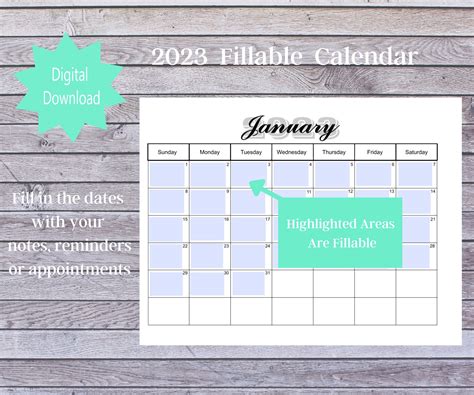 2023 Printable Calendar, 12 Month Fillable Calendar, Digital Calendar ...