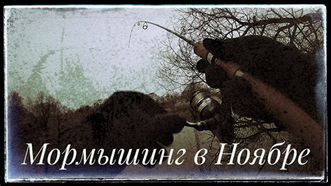 Мормышинг ! Домашний пруд . В поисках рыбы - YouTube