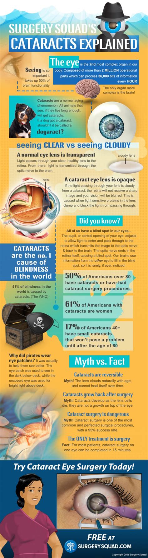 The Ultimate Cataract Eye Surgery InfoGraphic – All About Cataracts ...