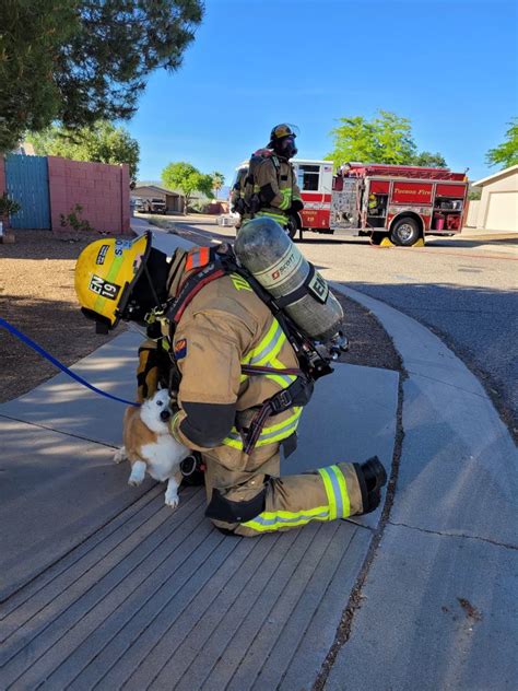 Tucson Fire Department On Twitter Making A Friend 🐶 The Crew On