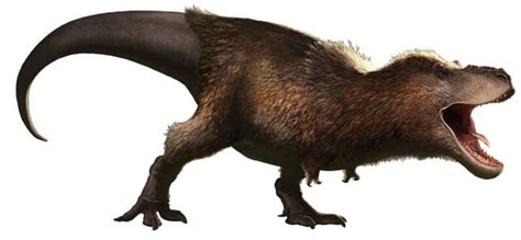 Thoughts on feathered T. rex? : r/Dinosaurs