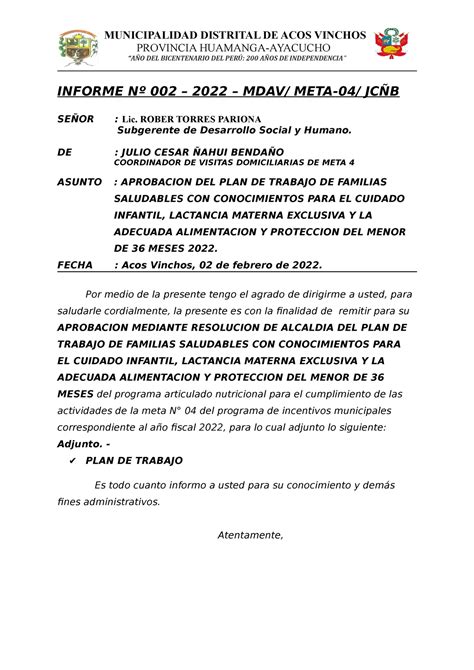 Plan De Trabajo Meta 4 2022 1 Provincia Huamanga Ayacucho “aÑo Del